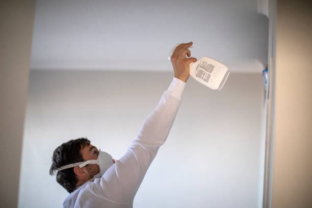 Best White Mold Remediation in Malone, FL